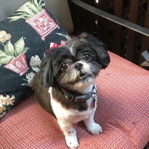 Meet your Posher, Nilda